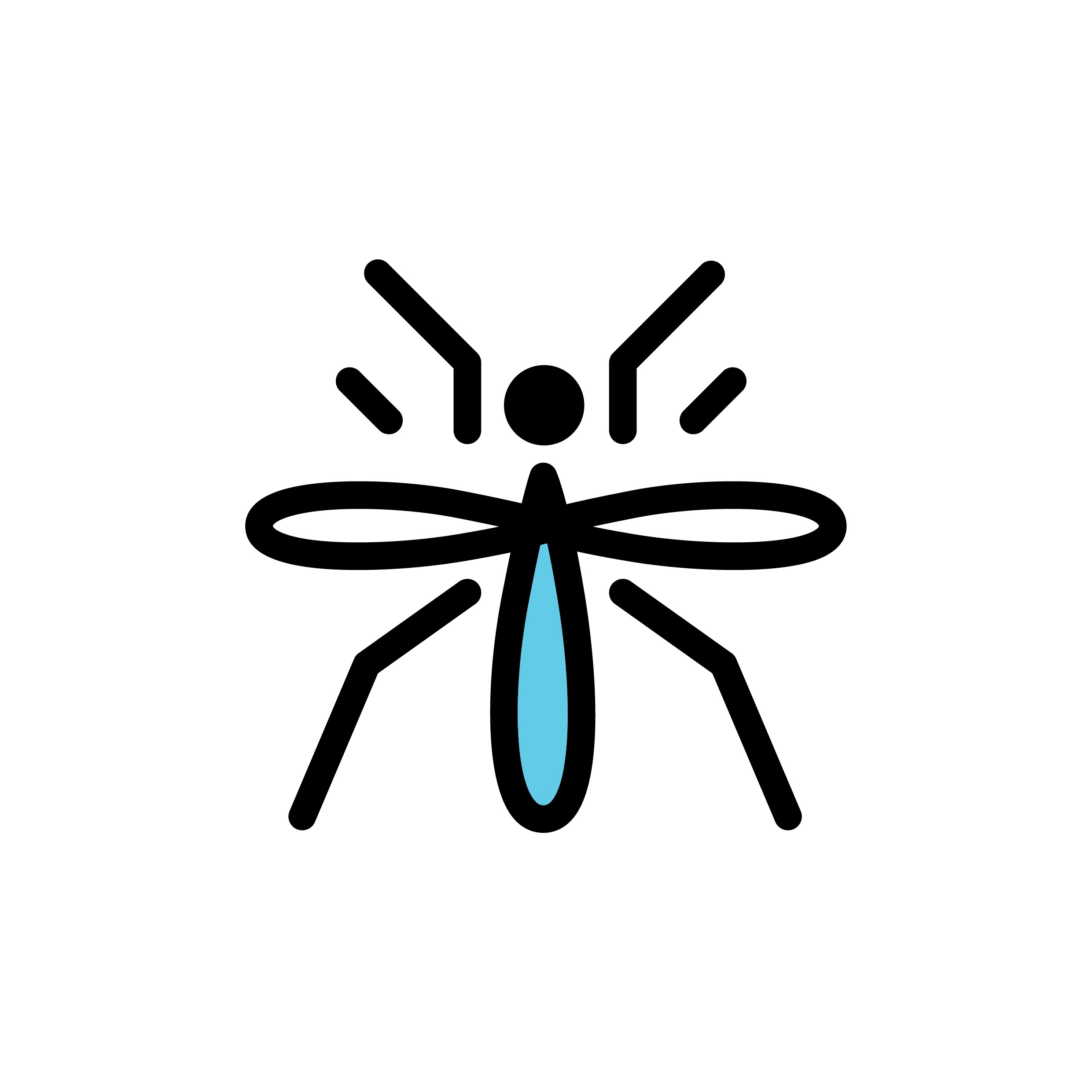 רשת שקופה – אין יותר יתושים אחת ולתמיד